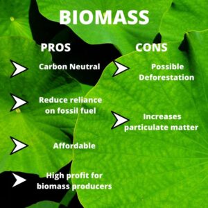 Negative Environmental Impacts of Renewable Energy