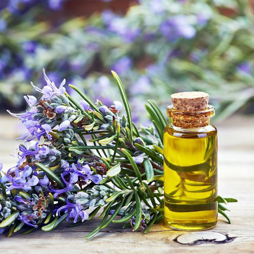 ROSEMARY OIL natural food preservative